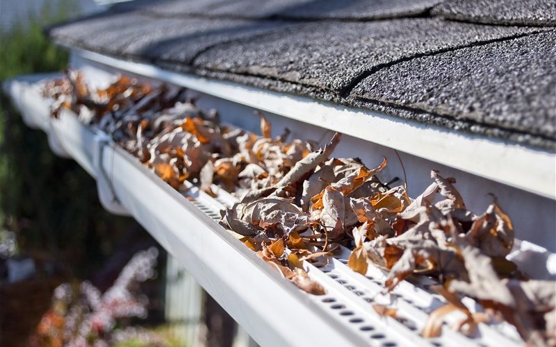 gutter cleaning service in maryland